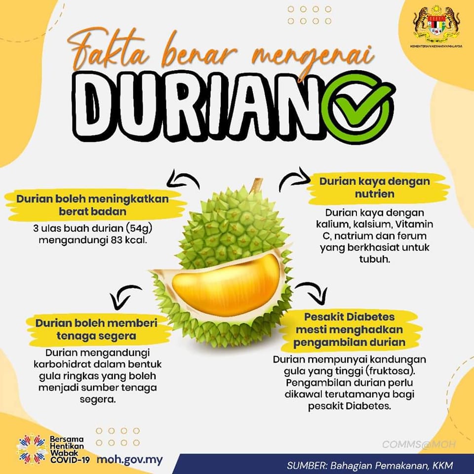 FAKTA BENAR MENGENAI DURIAN